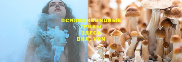 дживик Армянск