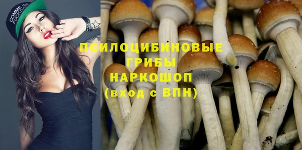 дживик Армянск