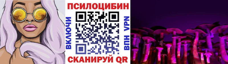 Галлюциногенные грибы Psilocybe Богородск